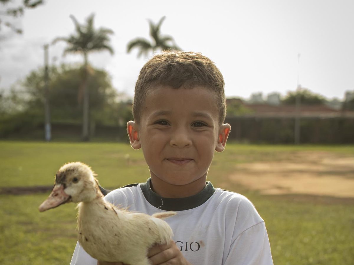 Educação com as mãos